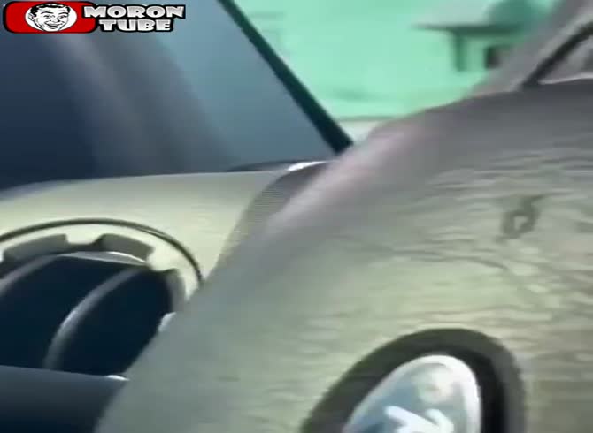 Video :In a fit of wrath, he pursues a car and is shot!